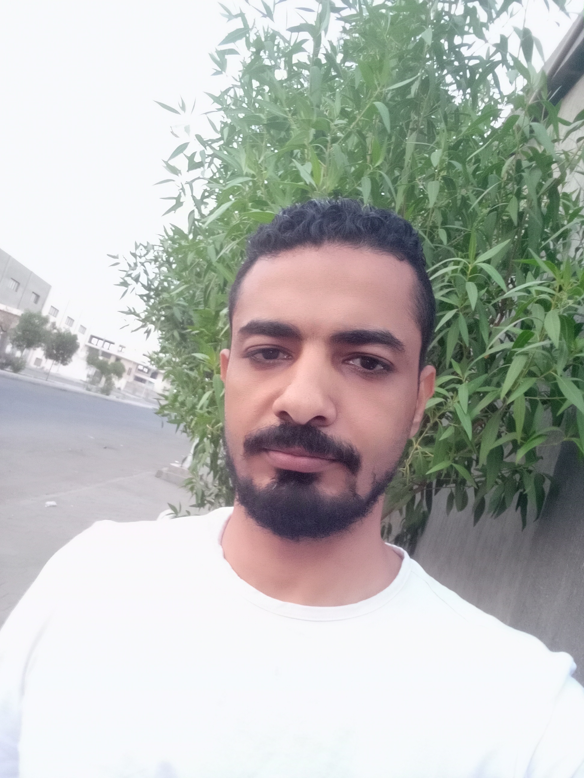 الصورة الشخصية